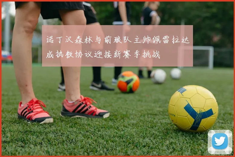 诺丁汉森林与前狼队主帅佩雷拉达成执教协议迎接新赛季挑战