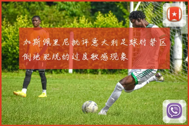 加斯佩里尼批评意大利足球对禁区倒地犯规的过度敏感现象