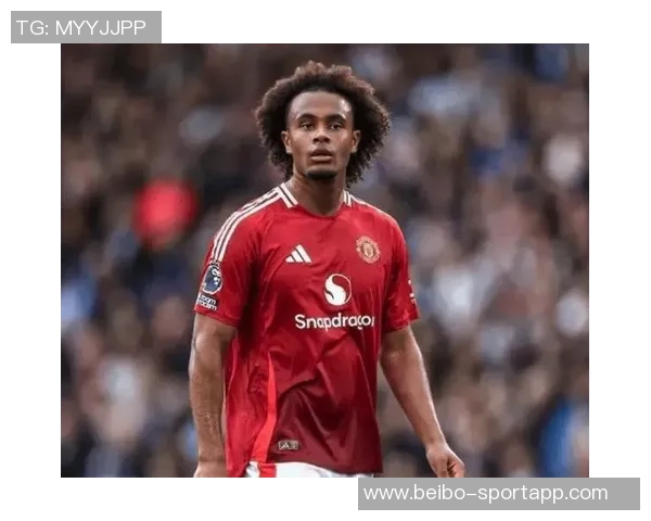 隆戈透露罗马与齐尔克泽谈判细节曼联球员需等到一月下旬才能离队